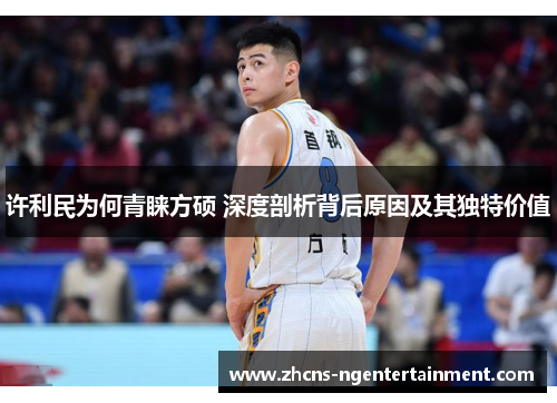 许利民为何青睐方硕 深度剖析背后原因及其独特价值